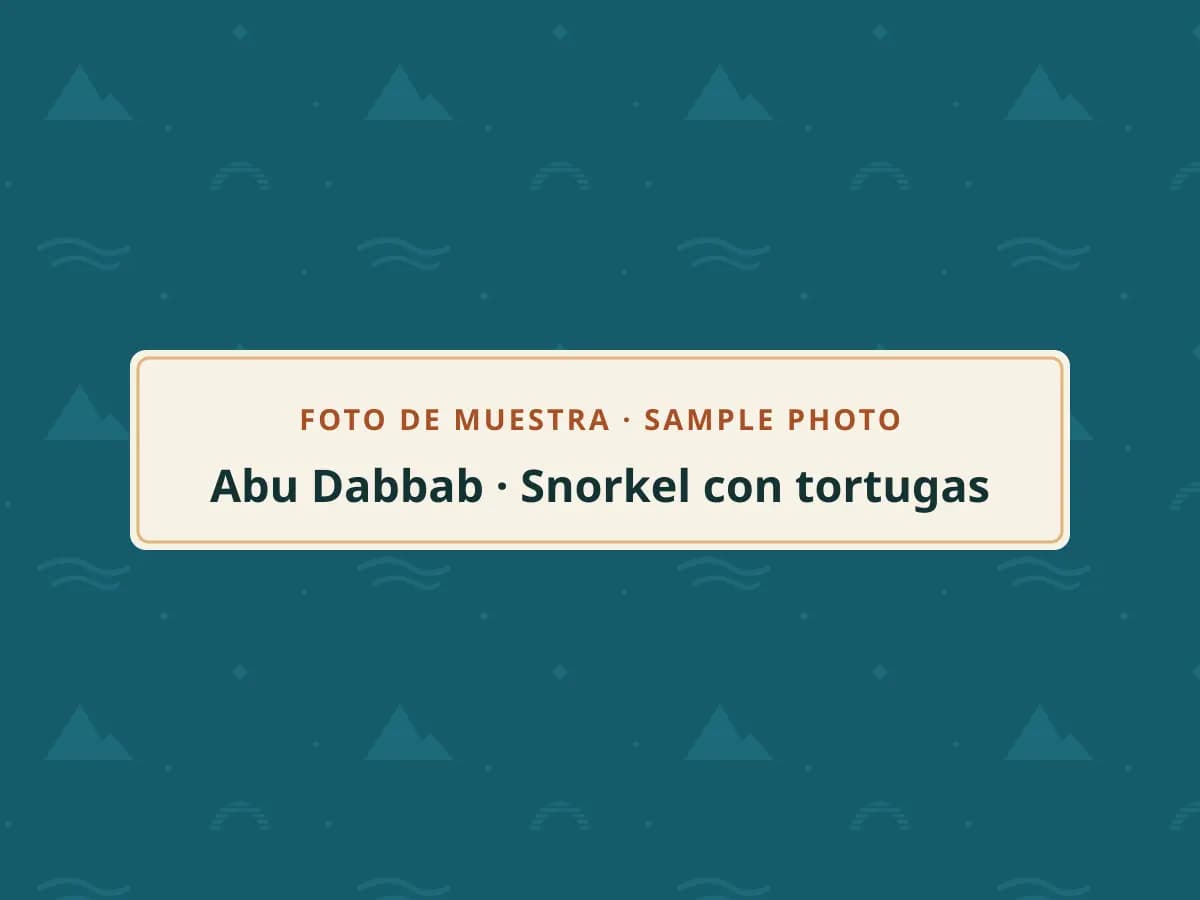 Sample photo: snorkelling at Abu Dabbab